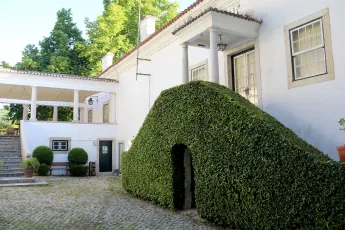 Quinta Pedagógica