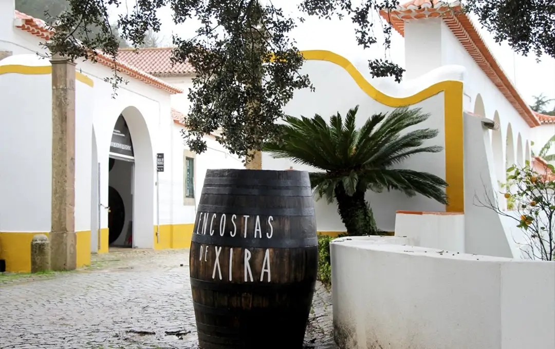 Loja Encostas de Xira