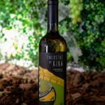 vinho-branco-português-premiago