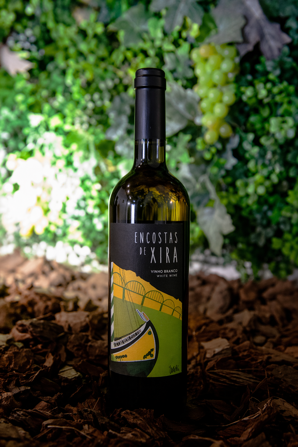 vinho-branco-português-premiago