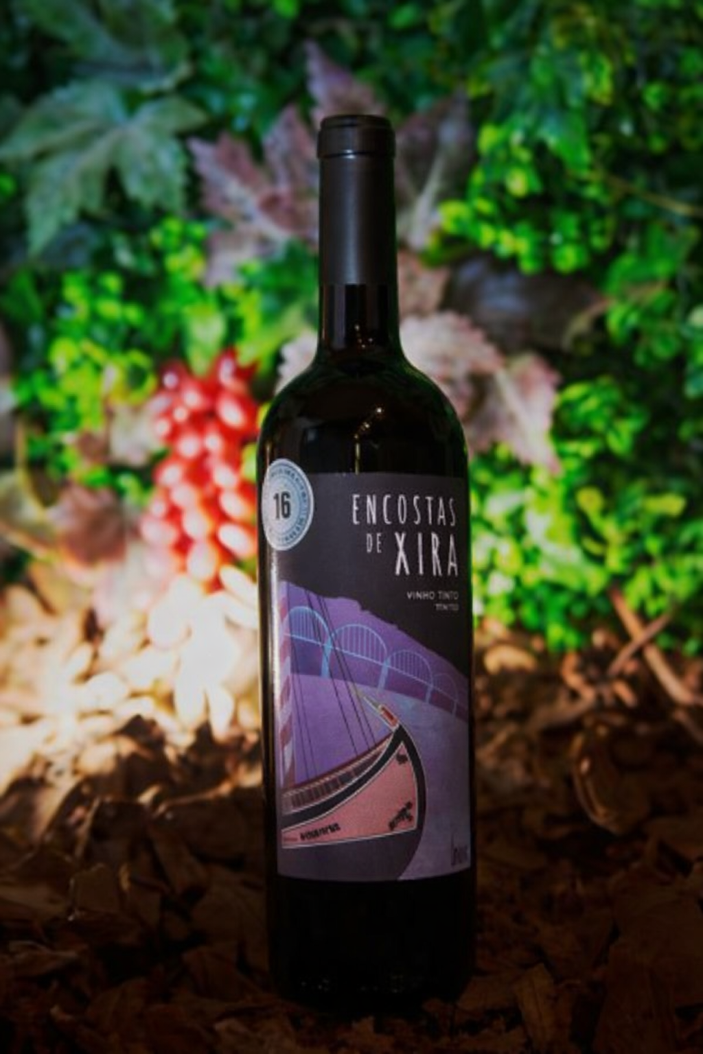 vinho-tinto-português-premiago