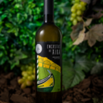 encostas-de-xira-vinho-branco-blend-loja-dos-vinhos