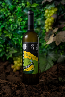 encostas-de-xira-vinho-branco-blend-loja-dos-vinhos