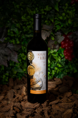 encostas-de-xira-vinho-syrah-tinto-2023